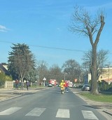 Samochód osobowy potrącił dziecko w Brzeziu. Trafiło do szpitala 