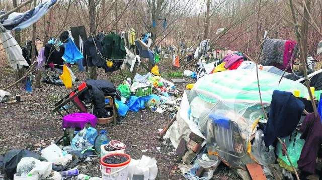 To miejsce w rejonie ul. Batalionów Chłopskich w Koszalinie - bezdomny zniósł tu te wszystkie rzeczy, wśród nich rozstawił prowizoryczny namiot - to jego dom; do środy ma to posprzątać