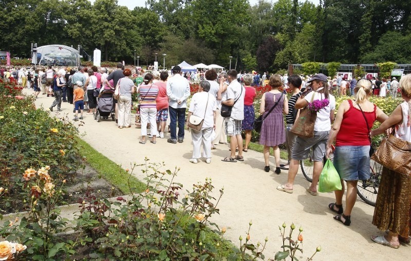 Urodziny Szczecina