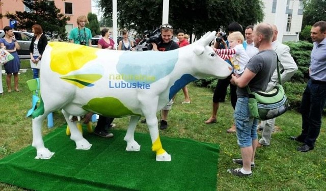 Lubuska krówka pojedzie na Woodstock!