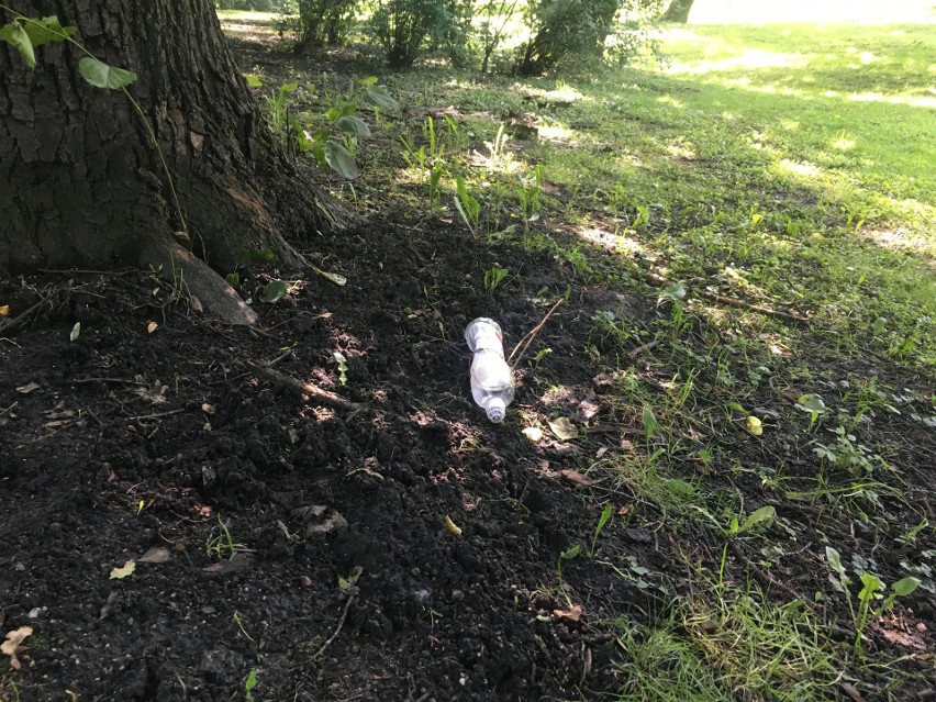 Spacery po zabrzańskich parkach w towarzystwie śmieci....