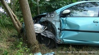 Kierowca peugeota miał wielkie szczęście - mimo zderzenia z drzewami nic mu się nie stało.
