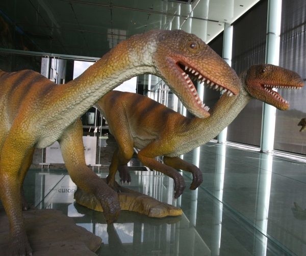 Symbolem Ozimka od dawna powinien być odkryty w Krasiejowie przodek dinozaurów Silesaurus.  Po kilku latach zastoju budowa Juraparku ruszyła, a prehistoryczny gad ma szansę zostać największą atrakcją nie tylko gminy, ale całego regionu.