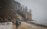 W Gdyni osunął się klif. Ludzie przychodzą oglądać osuwisko na plaży w Orłowie [zdjęcia]