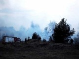 Pożar traw w Solcu Kujawskim