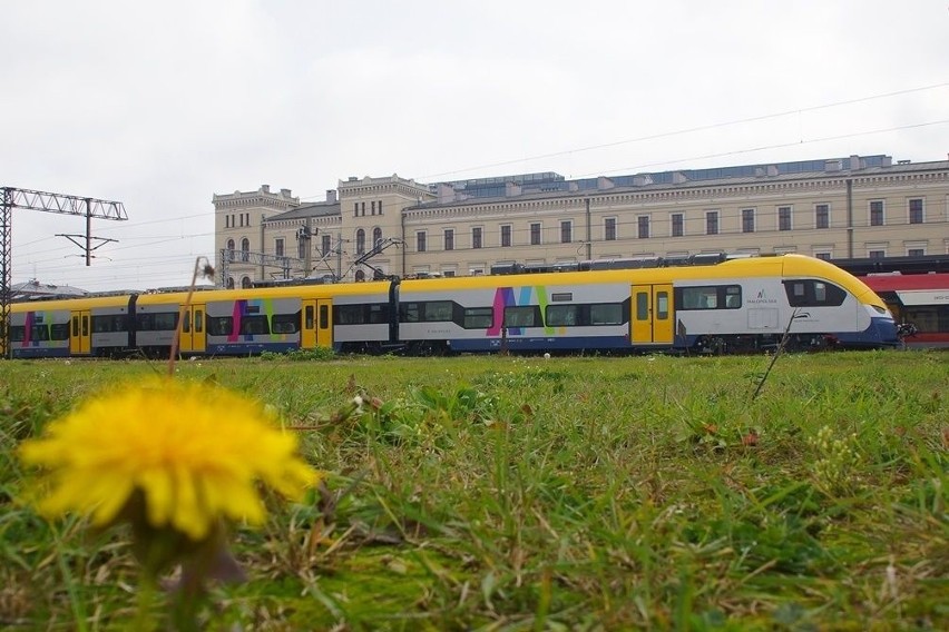 Koleje Małopolskie będą wozić pasażerów nowymi pociągami. Pierwszy jest już gotowy