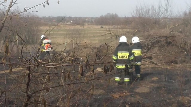 Strażacy ochotnicy z Wierzbicy interweniowali w sobotę gasząc pożar traw i altanki w Dąbrówce Warszawskiej.