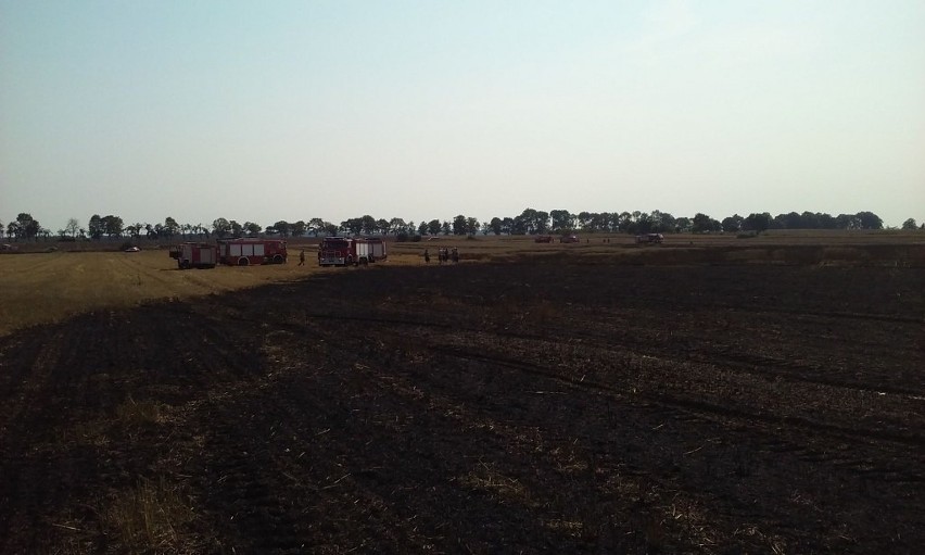 Spaliły się dwa hektary pszenicy.