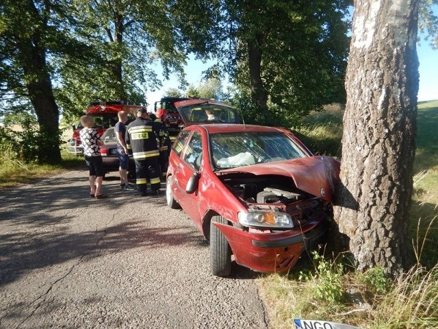W niedzielę około godziny 17.30 dyżurny stanowiska kierowania Komendanta Powiatowego PSP w Gołdapi otrzymał zgłoszenie o wypadku na drodze powiatowej w okolicach miejscowości Siedlisko w gm. Gołdap.
