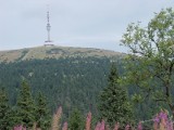 W Jesenikach spadł pierwszy śnieg