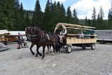 Tatry. Wóz hybrydowy z Morskiego Oka wraca do producenta. Wciąż nie wiadomo, czy na stałe wjedzie na górski szlak 