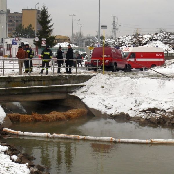 Strażacy polewali powierzchnię wody w kanale specjalnym środkiem unieszkodliwiającym zanieczyszczenia.