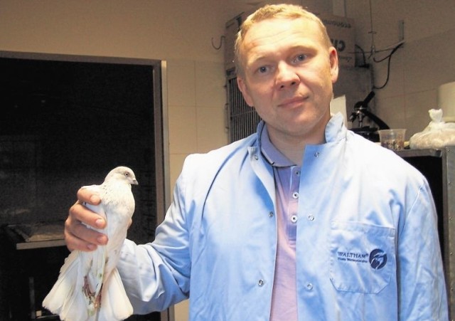 Ptak czyje się lepiej - mówi Jacek Zyzman. lekarz weterynarii z Ełku