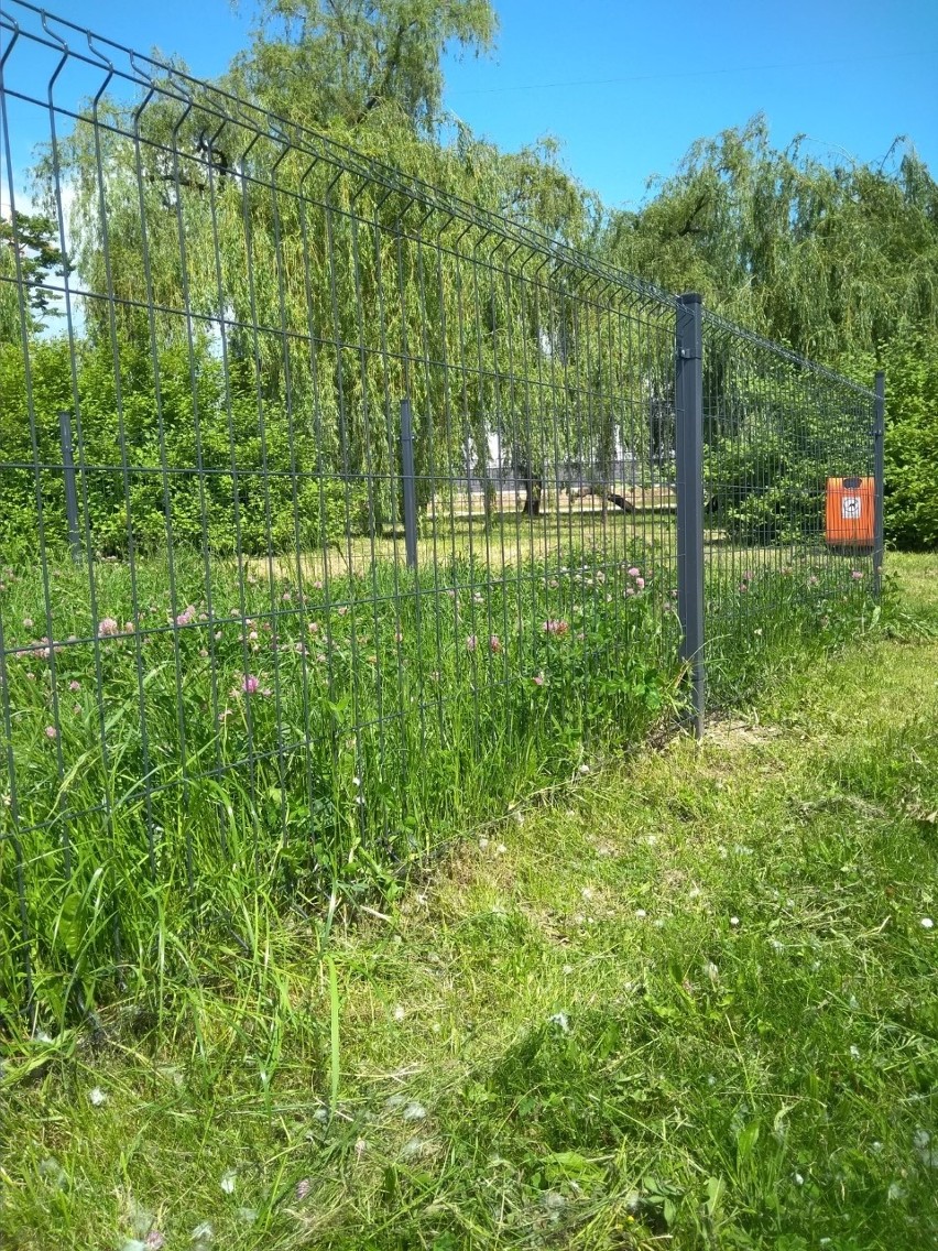 Zarośnięty psi park w Rzeszowie. Po naszej interwencji trawę wykoszono [ZDJĘCIA INTERNAUTKI]