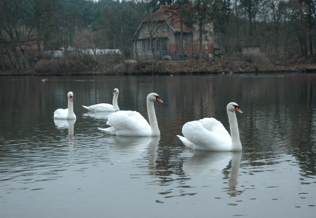 Spokój nad Brdą w Opławcu. I niech tak pozostanie...