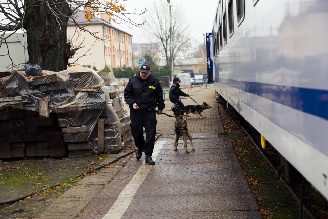Policyjne psy szukały bomby na dworcu PKP w Białymstoku