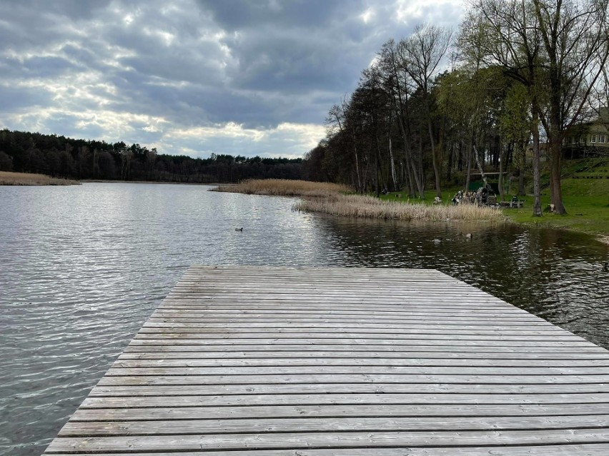 Jezioro Ciborze ma powierzchnię 36,6 ha, wędkarze łowią w...