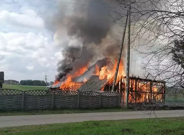 Pożar wybuchł kilkanaście minut po godzinie 10. Zerwana została też pobliska linia energetyczna.