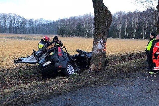 Do tragicznego wypadku doszło na drodze wojewódzkiej nr 423 ok. godz. 5.30 na trasie między Zdzieszowicami a Krępną.