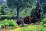 Arboretum w Wojsławicach na Dolnym Śląsku zakwitło liliami. Niezwykła wystawa rzut beretem od Wrocławia. Tam jest pięknie!