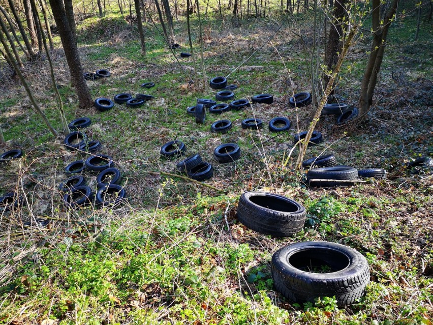 Gmina Myślenice. Śmieci znajdywano nad Rabą, w lasach i przy drogach