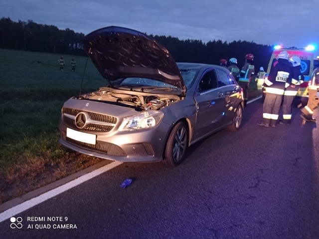 Przypominamy, że wrzesień to okres godowy u jeleni i łosi. Zwierzęta częściej wychodzą z lasu, a ryzyko spotkania ich na drodze jest większe.