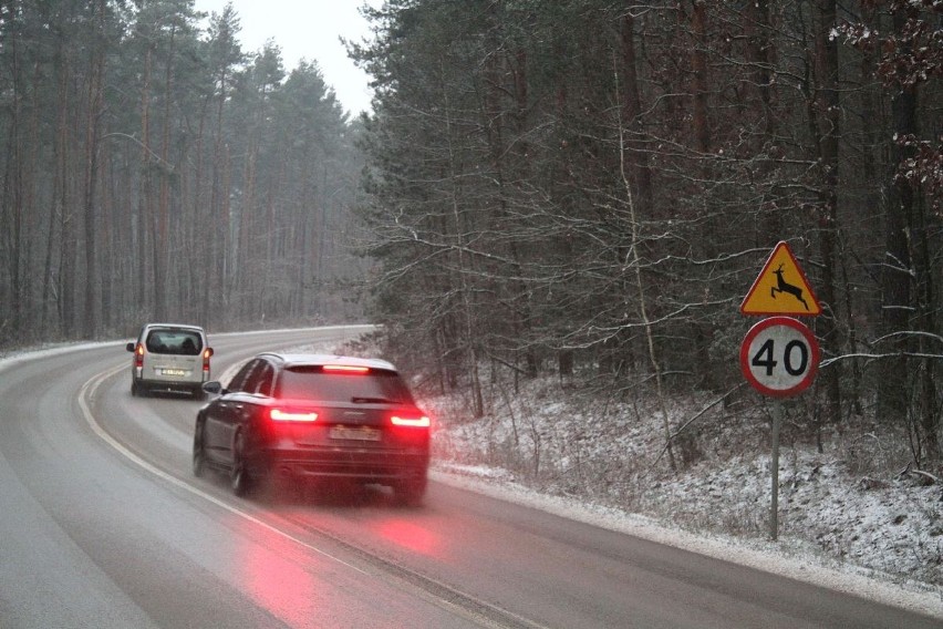 Dwie śmierci na jednej drodze w Borkowie koło Kielc. Przypadek czy zaniedbania drogowców? 