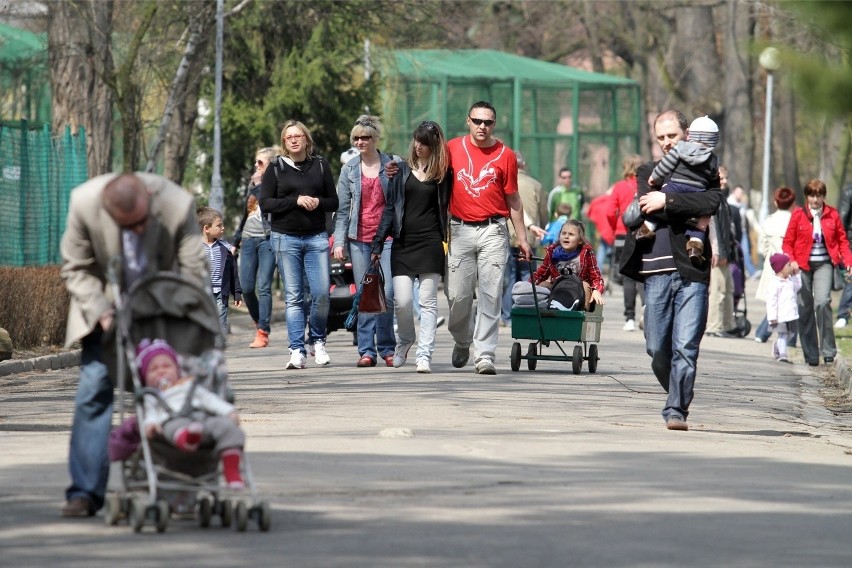 Bilet do zoo tylko do końca marca kosztuje 20 zł. Potem...