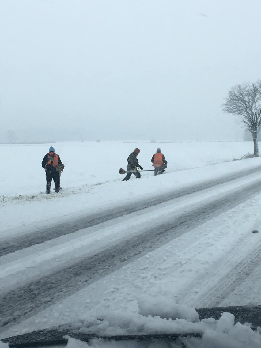 Zdjęcia z koszenia trawy w śniegu obiegają cały kraj....