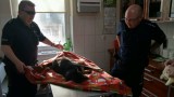 Dzielnicowi z gminy Biesiekierz uratowali potrąconego psa