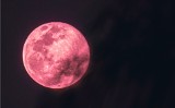 Różowy Księżyc w kwietniu 2024. Na te znaki zodiaku wpłynie teraz pełnia Księżyca