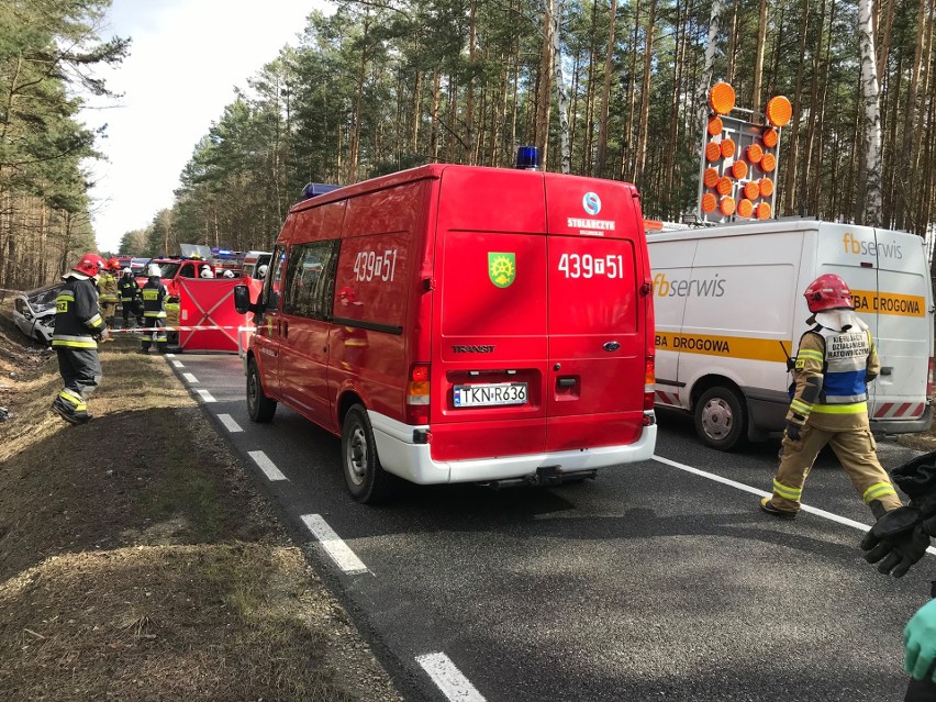 Śmiertelny wypadek dwóch samochodów w Nowym Kazanowie na drodze krajowej [ZDJĘCIA]