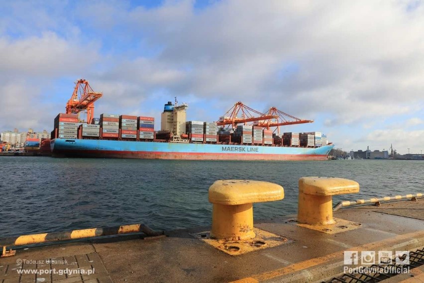 Charlotte Maersk w Porcie Gdynia, 12.02.2019