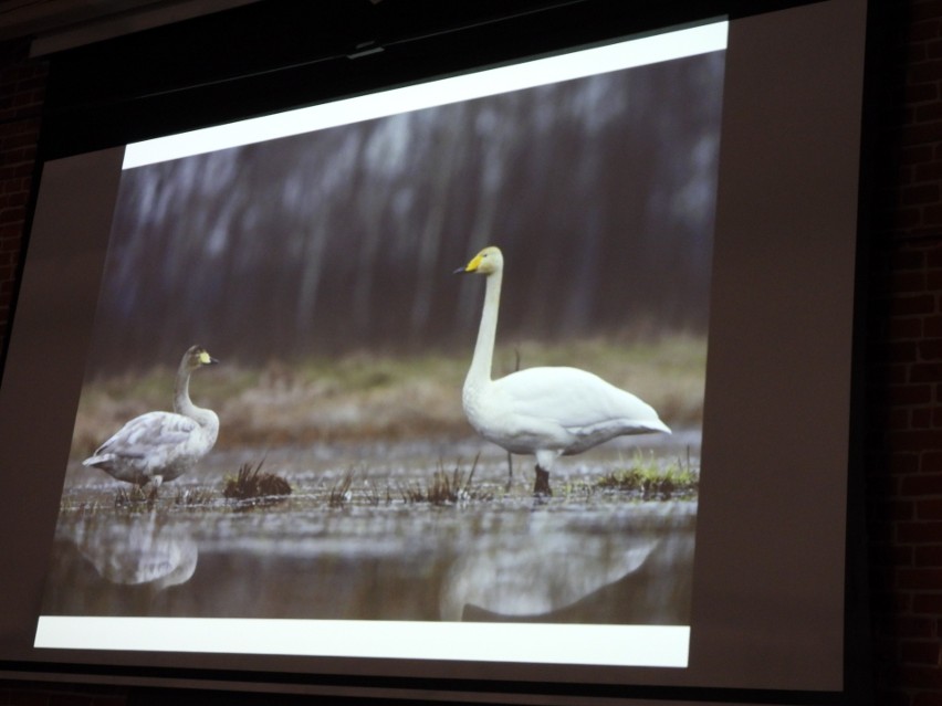 Ostrów Mazowiecka. Konkurs Fotograficzny „Ptaki w polskim krajobrazie jesienno-zimowym”. 28.04.2022