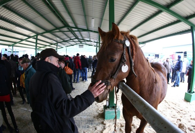 Wstępy w Skaryszewie to doroczny jarmark koński, największy w Europie.