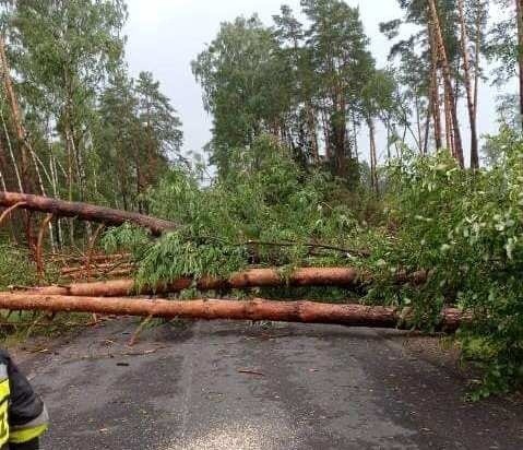 Powalone na drogi drzewa, uszkodzone dachy, awaria prądu - skutki burzy, która 13 lipca 2021 przeszła nad powiatem ostrołęckim. Zdjęcia