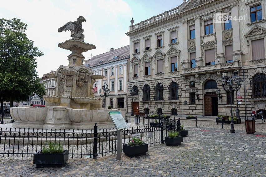 Więcej roślin i kolorów na pl. Orła Białego w Szczecinie. Nowe nasadzenia zamiast samochodów