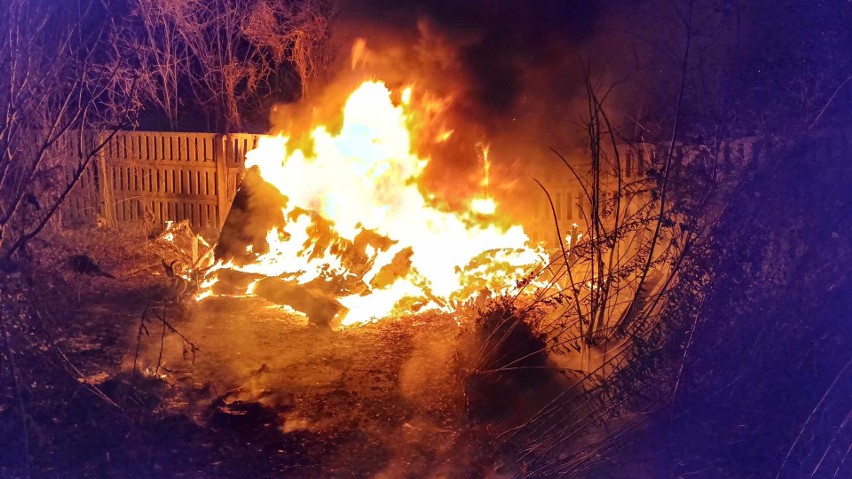 Pożar altanki ogrodowej w Połczynie-Zdroju