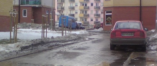 - Ucierpiały na tym nowo posadzone drzewka i trawa która miałaby urosnąć na wiosnę - wyjaśnia nasz Internauta. Jako dowód dołącza zdjęcia.