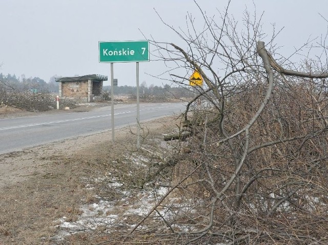 Trwa wycinka drzew przy trasie Sielpia &#8211; Końskie