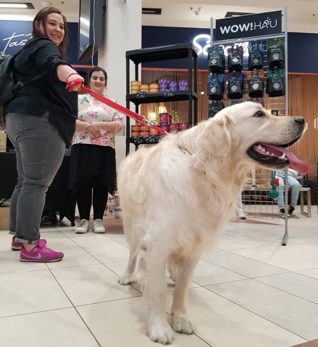 Z pupilem do Galerii Jurajskiej. Centrum handlowe zmienia zasady funkcjonowania