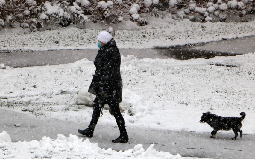 Pierwsze tej zimy solidniejsze opady śniegu w Grudziądzu...