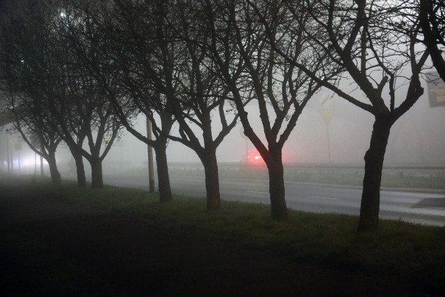W nocy z soboty na niedzielę w części kraju możliwe przymrozki. Synoptycy ostrzegają też przed mgłami.