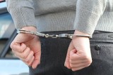 Kolejna akcja grupy tzw. "łowców pedofilów" w Wielkopolsce .Podejrzany mężczyzna trafił w ręce policji