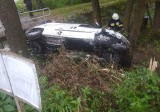 Samochód wpadł do rzeki pod Tarnowem. Niebezpieczny wypadek na drodze w Zalasowej [ZDJĘCIA]