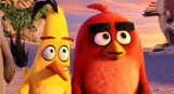 Nadlatują Angry Birds! Zabierz dziecko na odjechaną zabawę