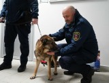 Krakowscy Strażnicy Miejscy przygarnęli w akcję "mrozy" psa z krakowskiego schroniska. Jak dalej potoczyła się jego historia?