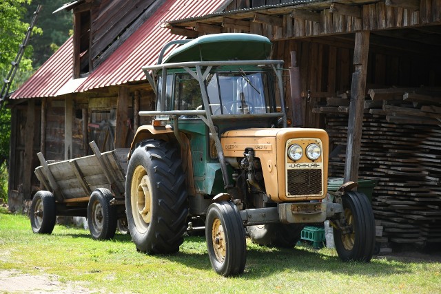 Traktory Ursusa do dziś są uważane za najefektywniejsze. Nie dziwi więc fakt, iż nie brakuje chętnych na zakup ciągnika rolniczego tej marki. Przejrzeliśmy oferty sprzedaży opublikowane na portalu OLX. Oto najtańsze oferty dostępne w województwie lubelskim.