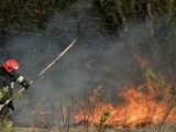 Ogień w lesie! Samoloty pomagały ugasić płomienie 