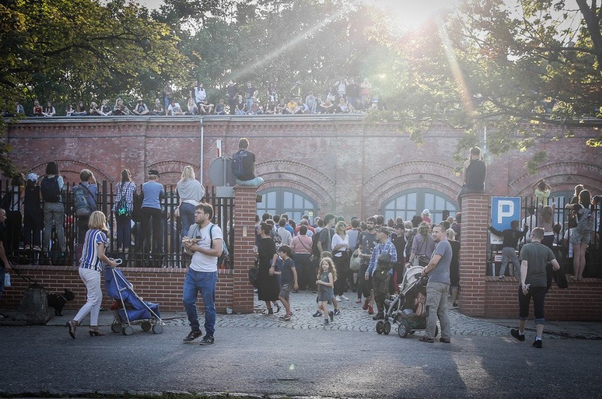 Międzynarodowy Festiwal Teatrów Plenerowych i Ulicznych FETA...